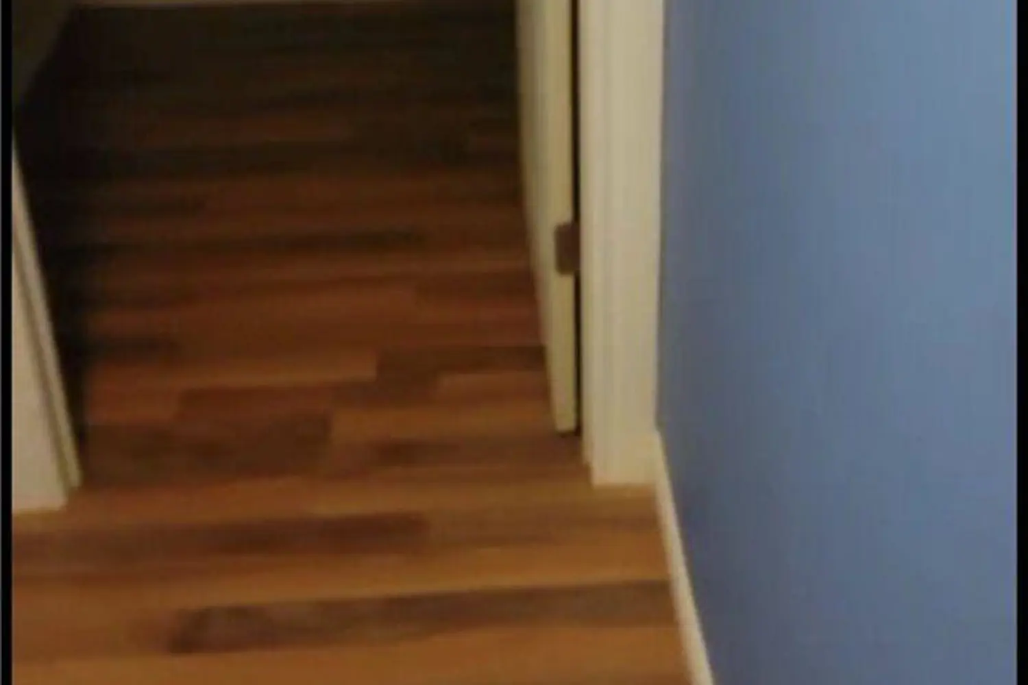 Additional image 12 of 47 Silver Maple Road