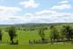 Additional image 7 of Cefn Hill, Cefn Hill, Craswall, Herefordshire