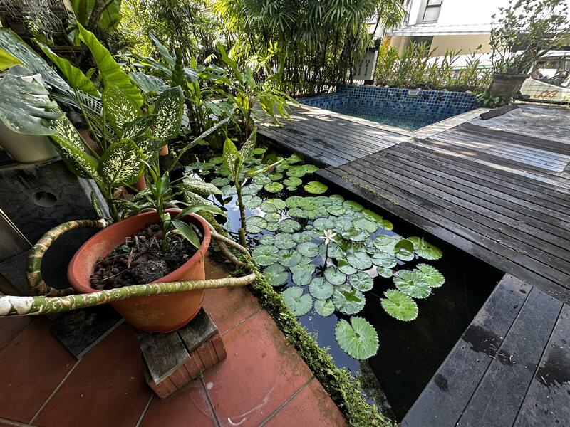 Additional image 4 of Jalan Binchang