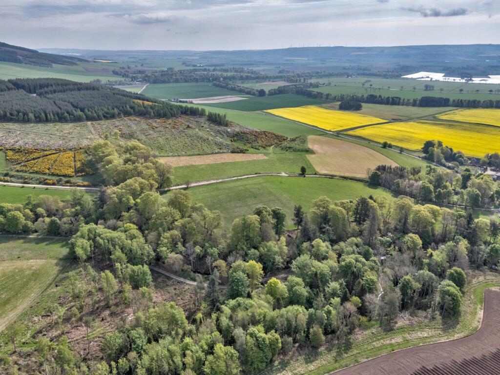 Additional image 5 of Fasque House Estate, Fettercairn, Laurencekirk, AB30