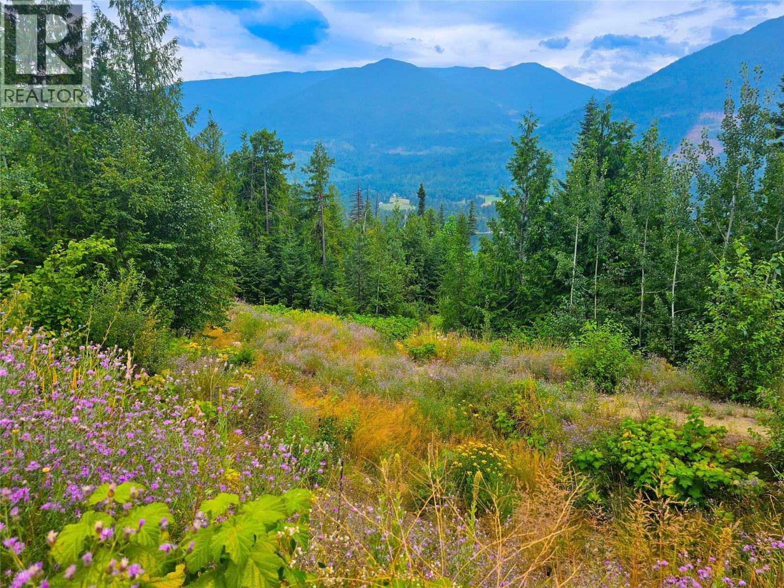 421 MOUNTAIN VIEW Drive