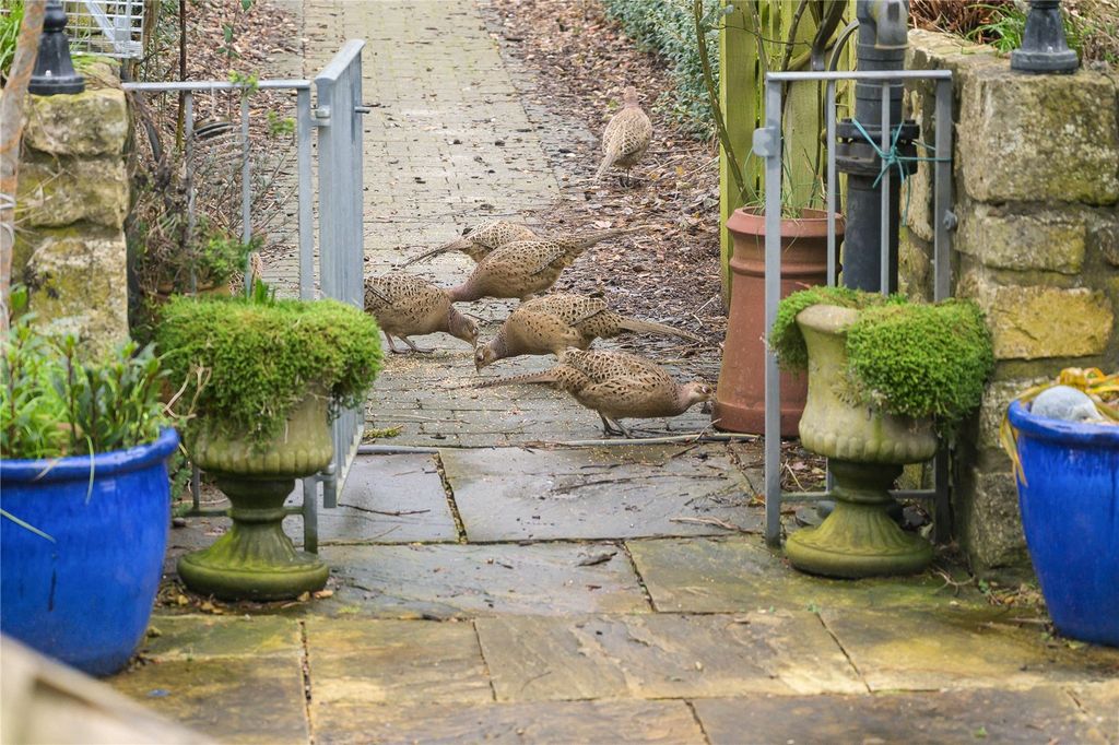 Additional image 23 of 8 bed detached house for saleLoves Lane, Farmborough, Bath, Somerset BA2