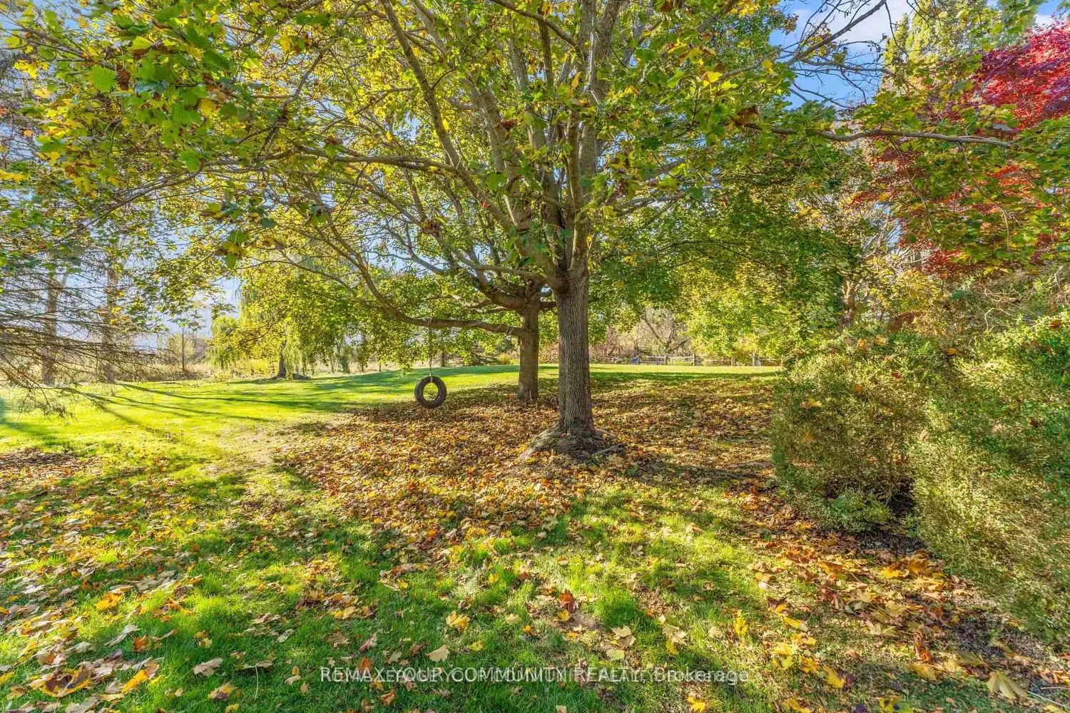 Additional image 16 of 1645 Acorn Lane