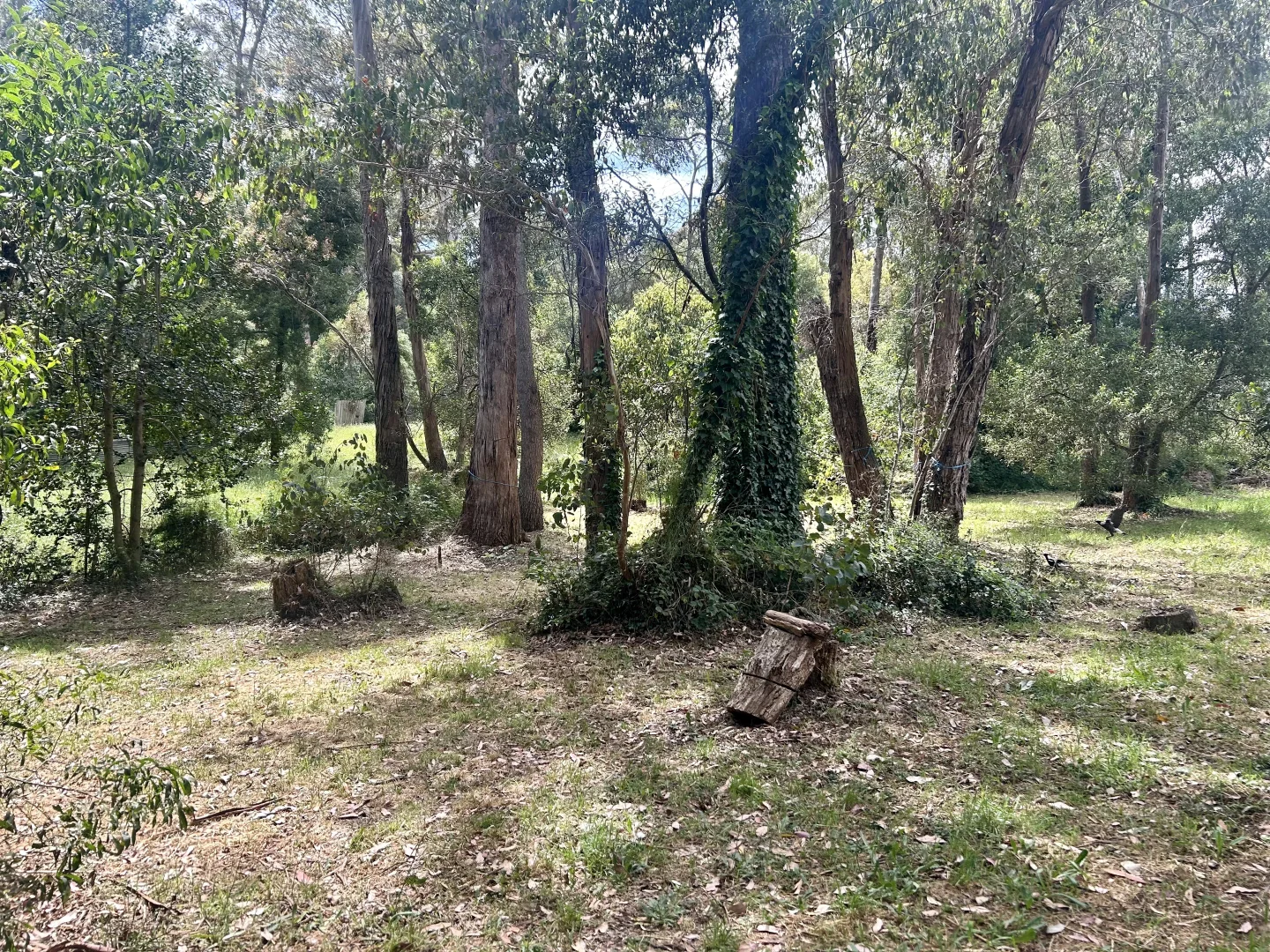 Additional image 7 of 1026 Greendale-Trentham Road, Blackwood VIC 3458