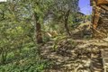 Additional image 55 of 641 Alvarado Rd, Berkeley, CA, 94705