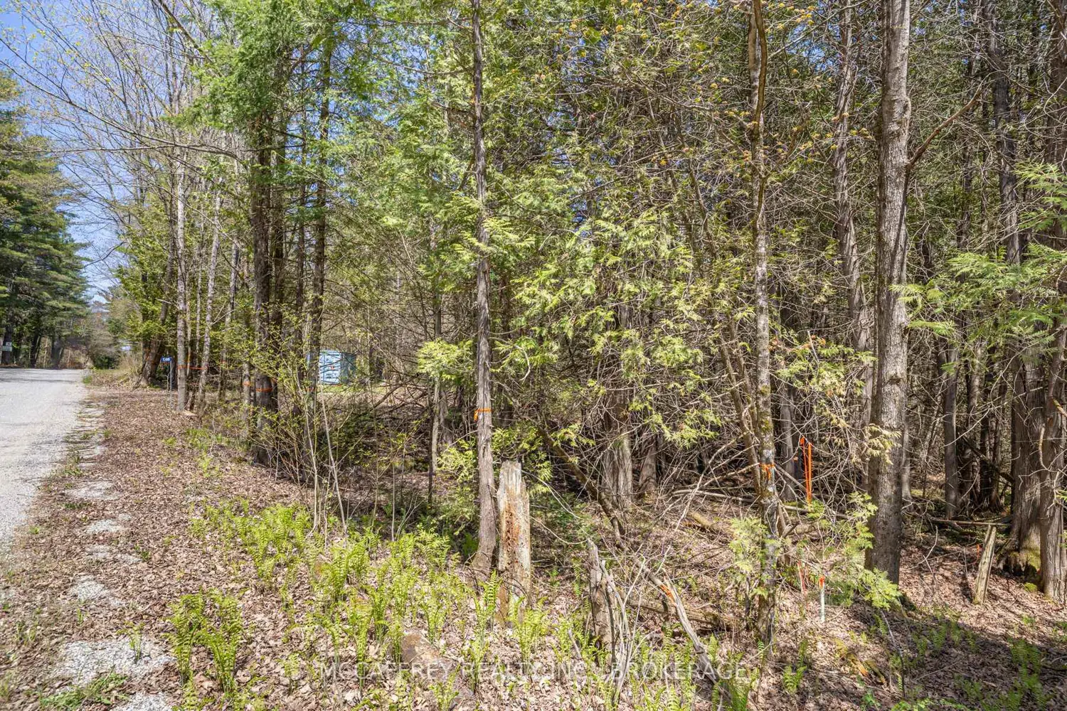 Additional image 15 of 1088 Kashwakamak Lake Road