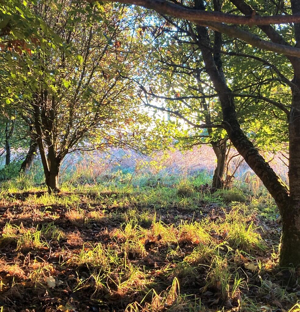 Additional image 27 of AB43