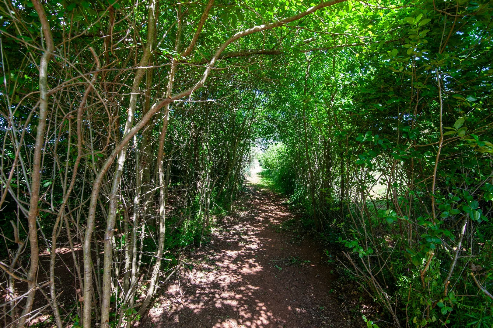 Additional image 31 of 1 Prell Street, Crookwell NSW 2583