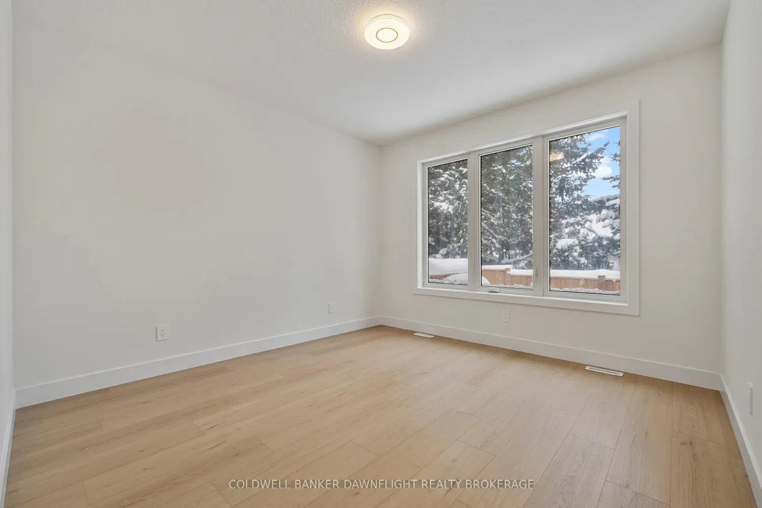 58 Moonlight Court photo 4