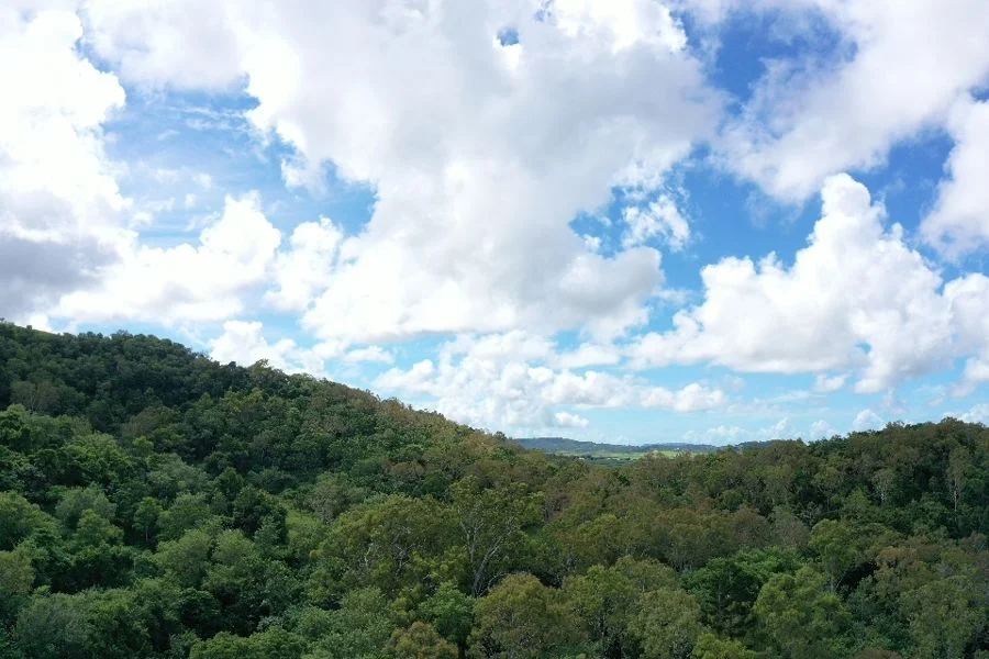 Additional image 4 of 179 Barclays Road, Dumbleton QLD 4740