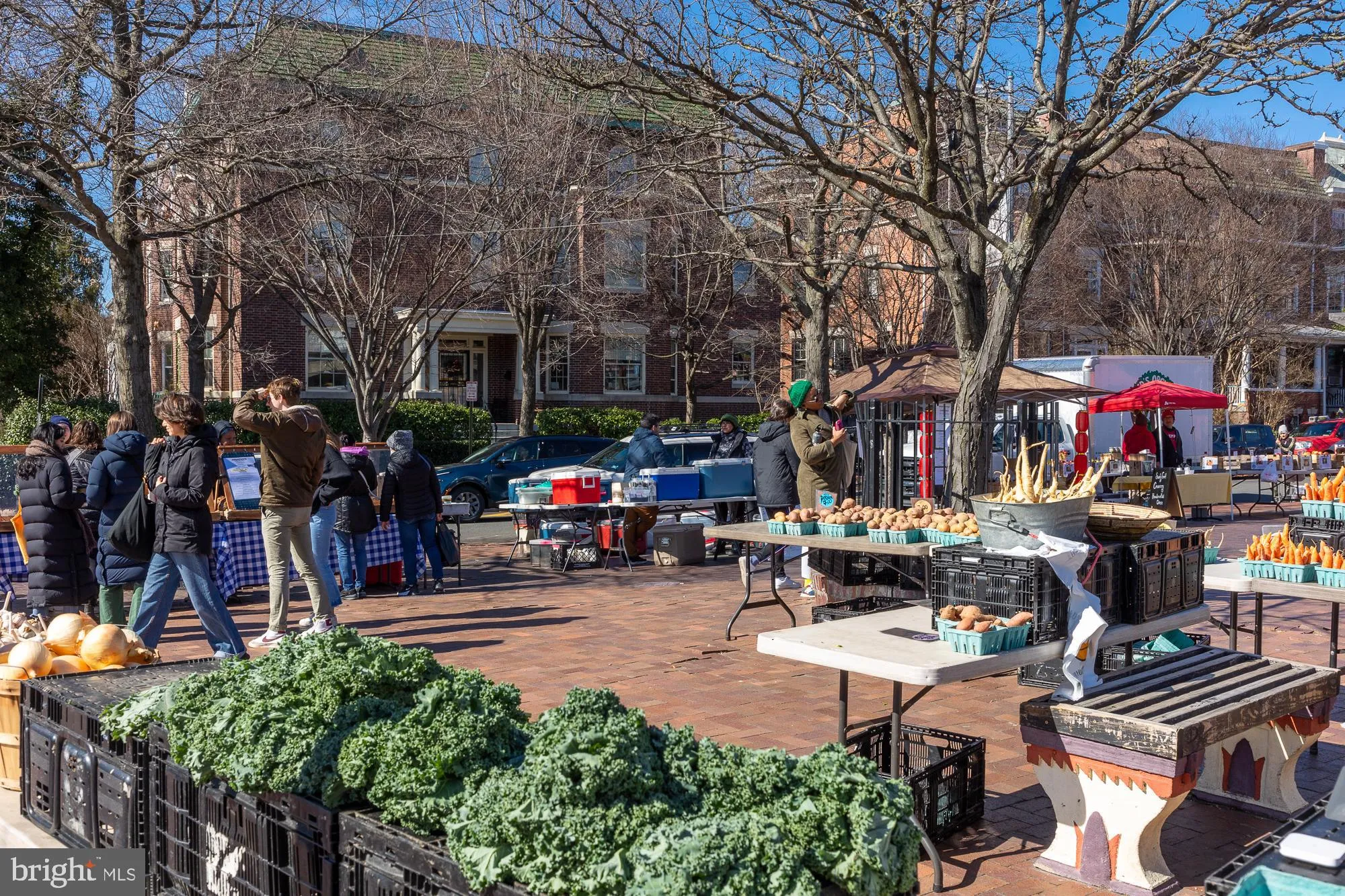 Additional image 91 of 3423 Oakwood Terrace NW, Washington, DC 20010