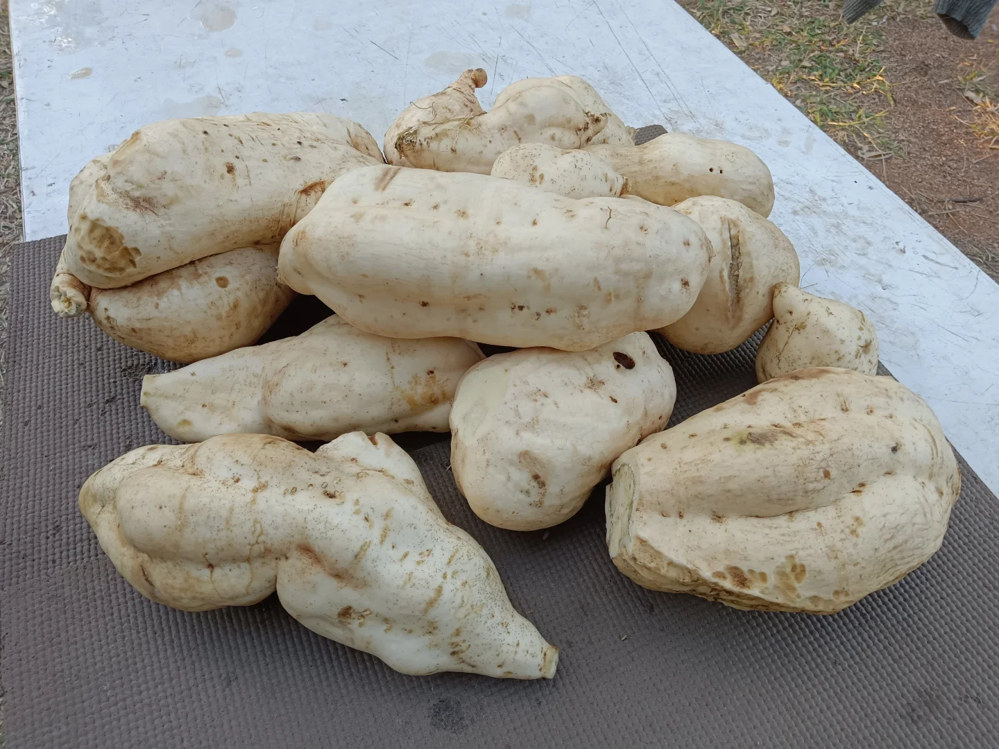 Additional image 30 of Torrens Creek QLD 4816