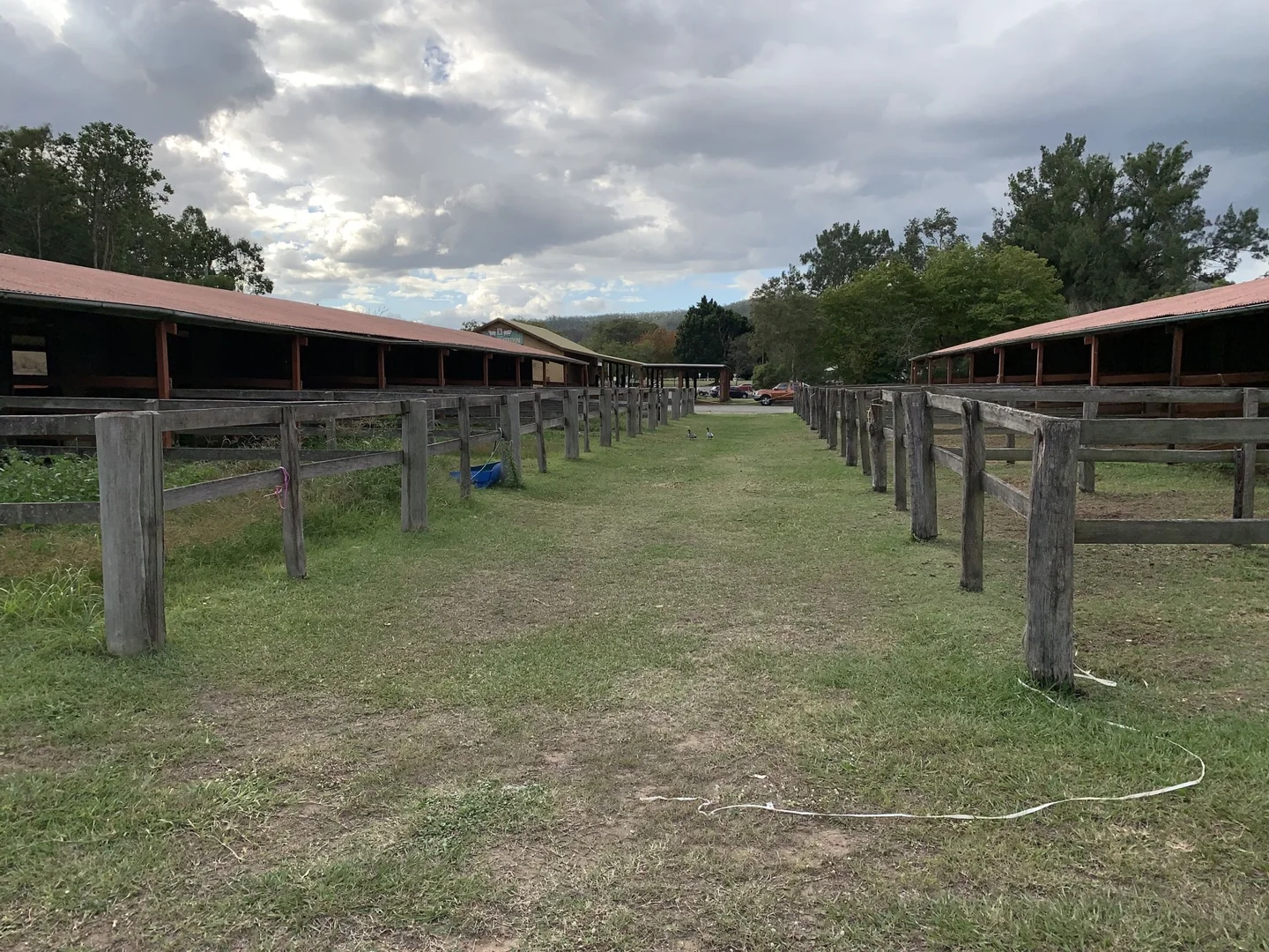 Additional image 11 of 79B Ogilvie Place, Kooralbyn QLD 4285