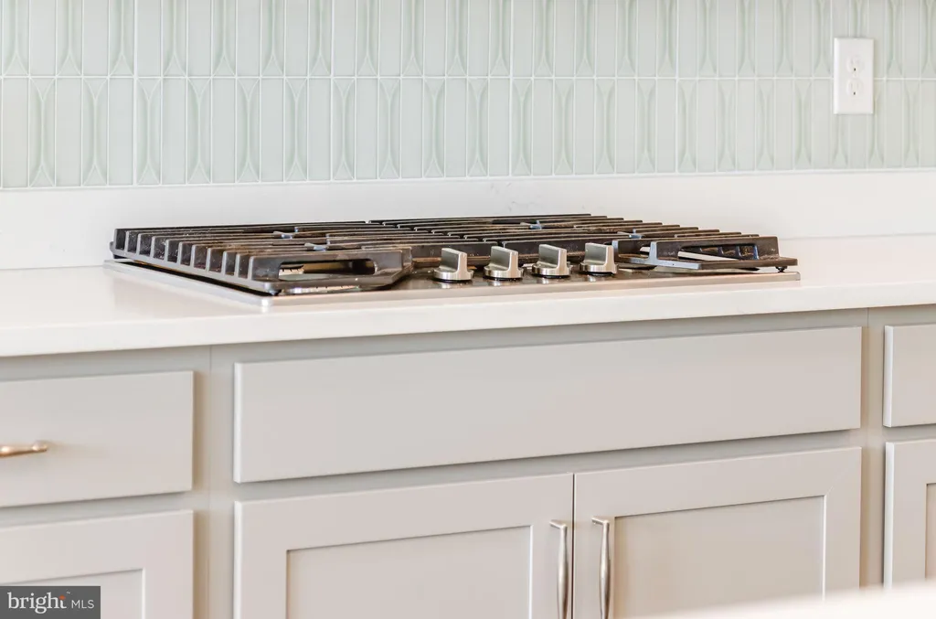 Additional image 59 of 30039 Simpler Branch, Lewes, DE 19958