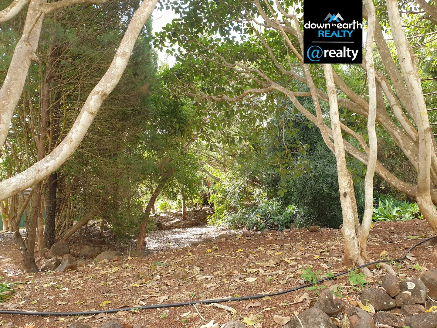 Additional image 79 of 161 River Road, Millstream QLD 4888