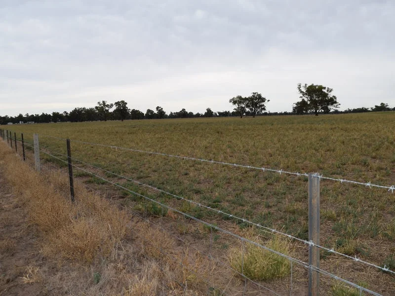 Additional image 4 of ''sloane'' Dicks Plain Road, Mulwala NSW 2647