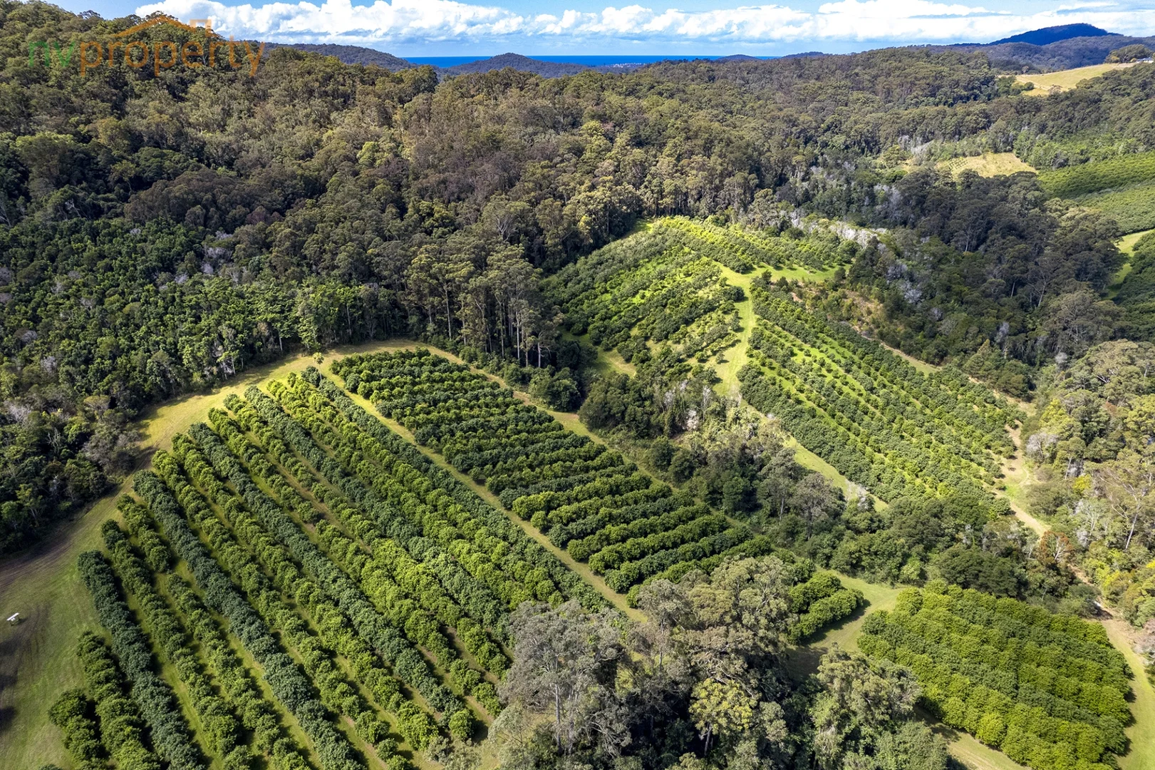 Additional image 22 of 31 Wesley Avenue, Donnellyville NSW 2447