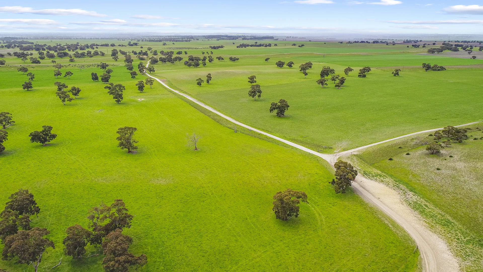 Additional image 11 of 9653 Dukes Highway, Tintinara SA 5266