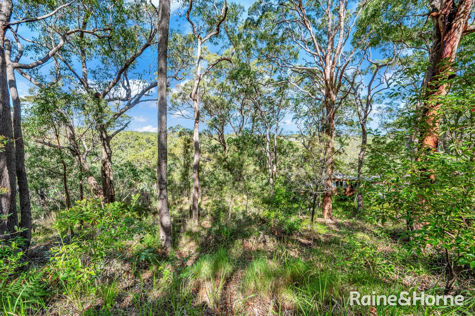 Additional image 7 of 26 & 28 The Parkway, Mallabula NSW 2319