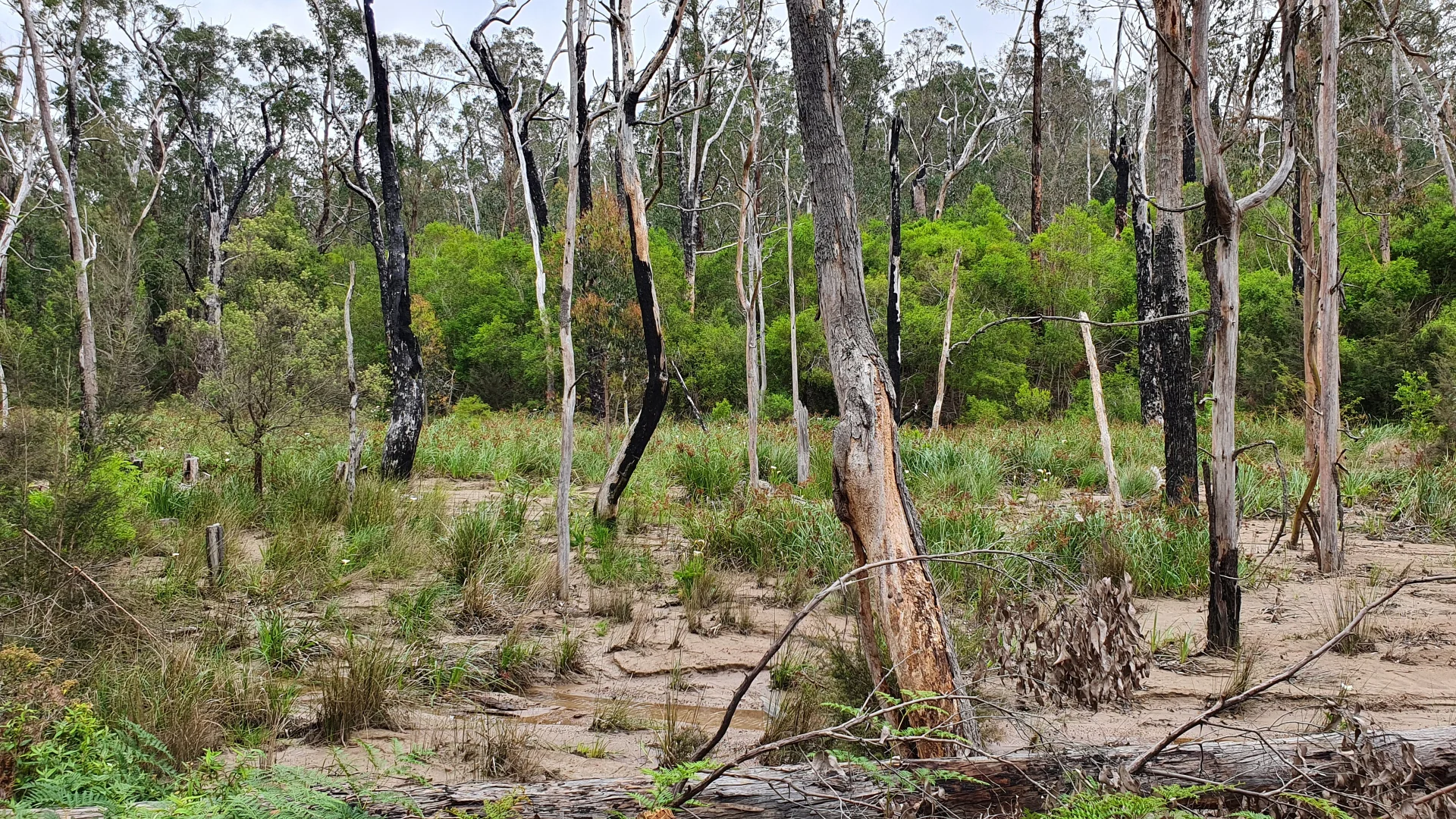 Additional image 12 of CA57B Thomson Road, Hazelwood South VIC 3840