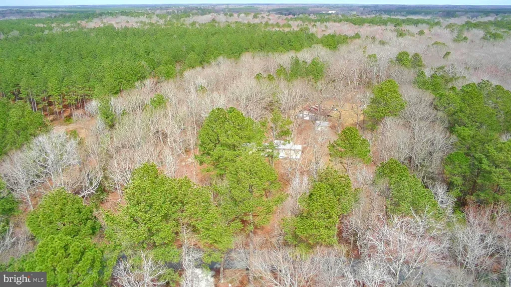 Additional image 13 of 14570 Cripple Creek Lane, Bridgeville, DE 19933