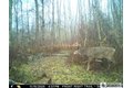 Additional image 33 of 4273 Waterman Rd, Stockton, NY, 14784
