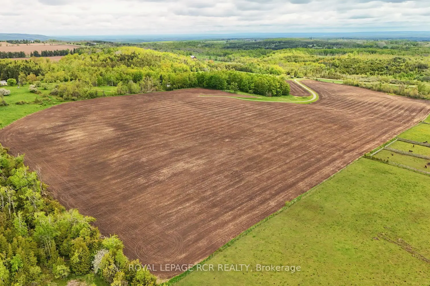 Additional image 5 of 716582 1St Line E H S