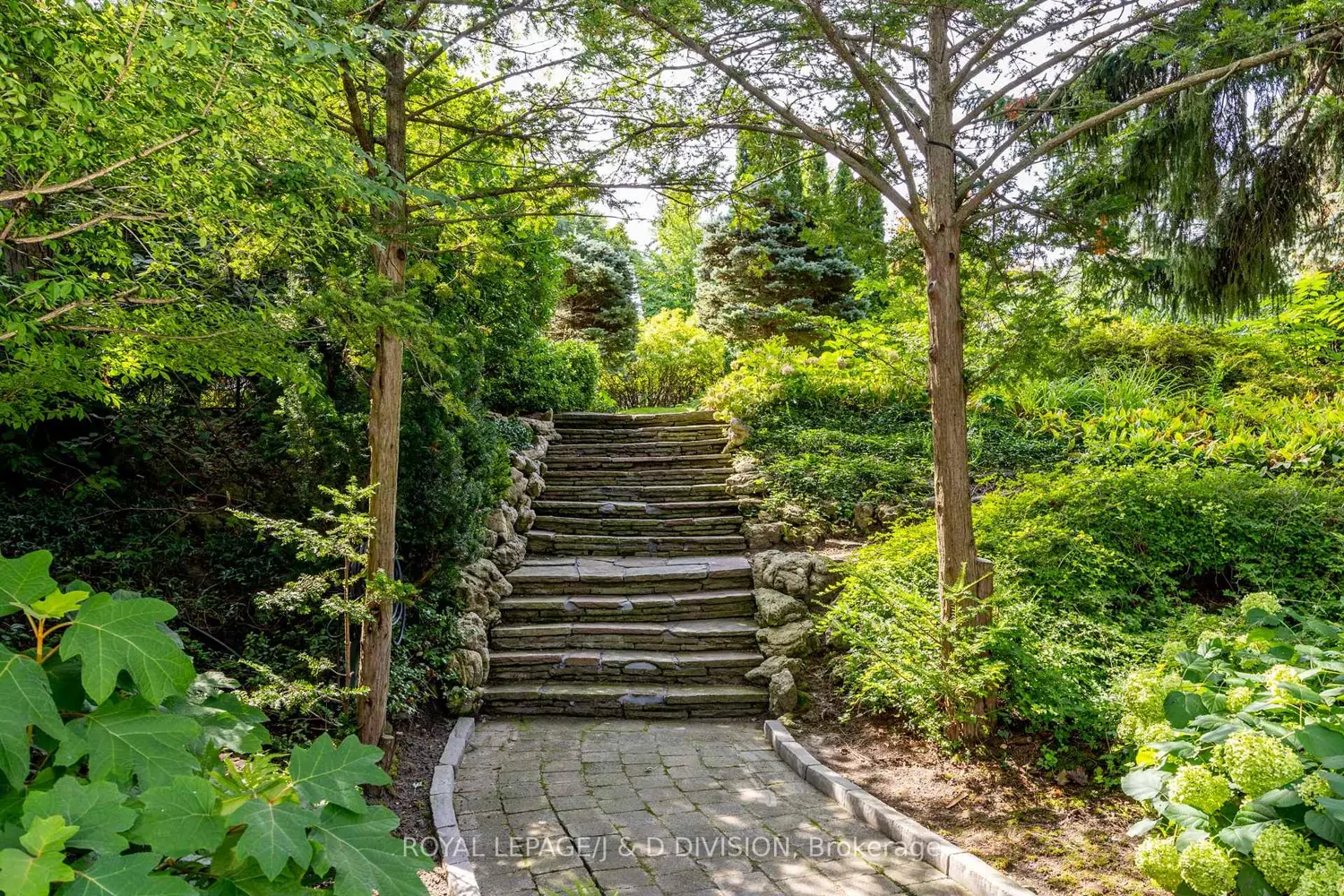 Additional image 19 of 12 Forest Glen Crescent