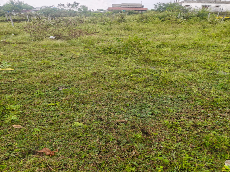 Primary image of Anaikatti, Coimbatore