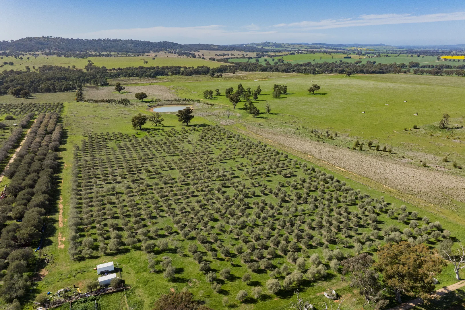 Additional image 37 of 277 Cloughs Road, Yarragundry NSW 2650