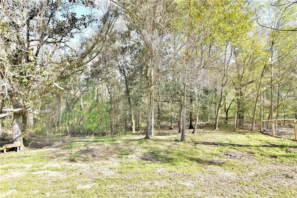 Additional image 21 of 10 Ihagee Creek Court, Fort Mitchell, AL 36856