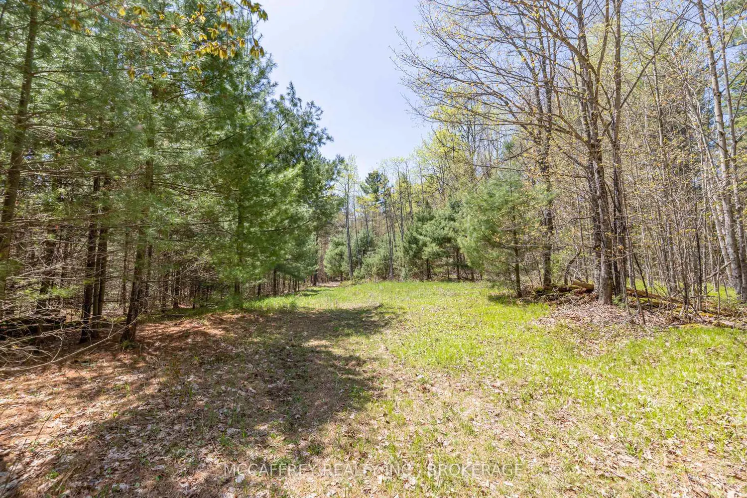 Additional image 11 of 1088 Kashwakamak Lake Road