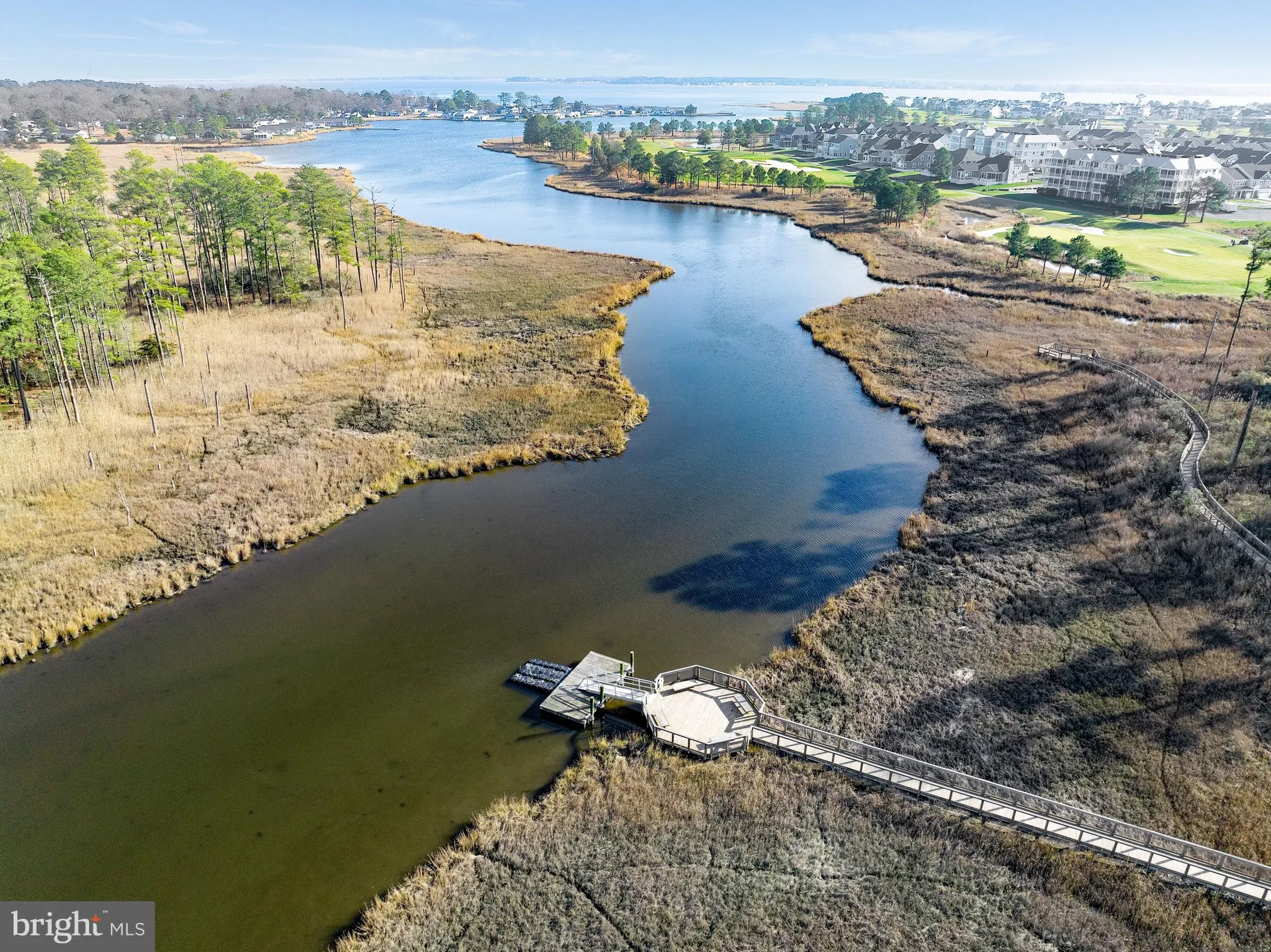 Additional image 202 of 22106 S Preservation Drive, Millsboro, DE 19966