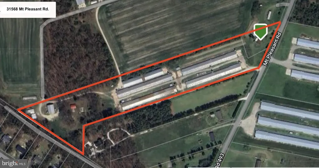 31568 Mount Pleasant Road, Laurel, DE 19956