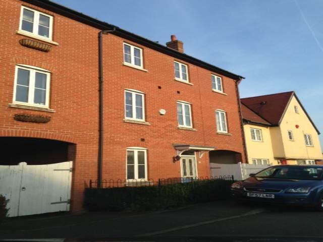 Chipmunk Chase, Hatfield, Hertfordshire