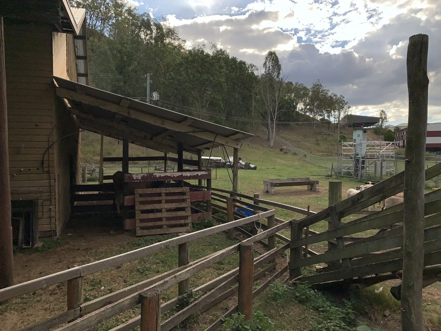 Additional image 16 of 79B Ogilvie Place, Kooralbyn QLD 4285