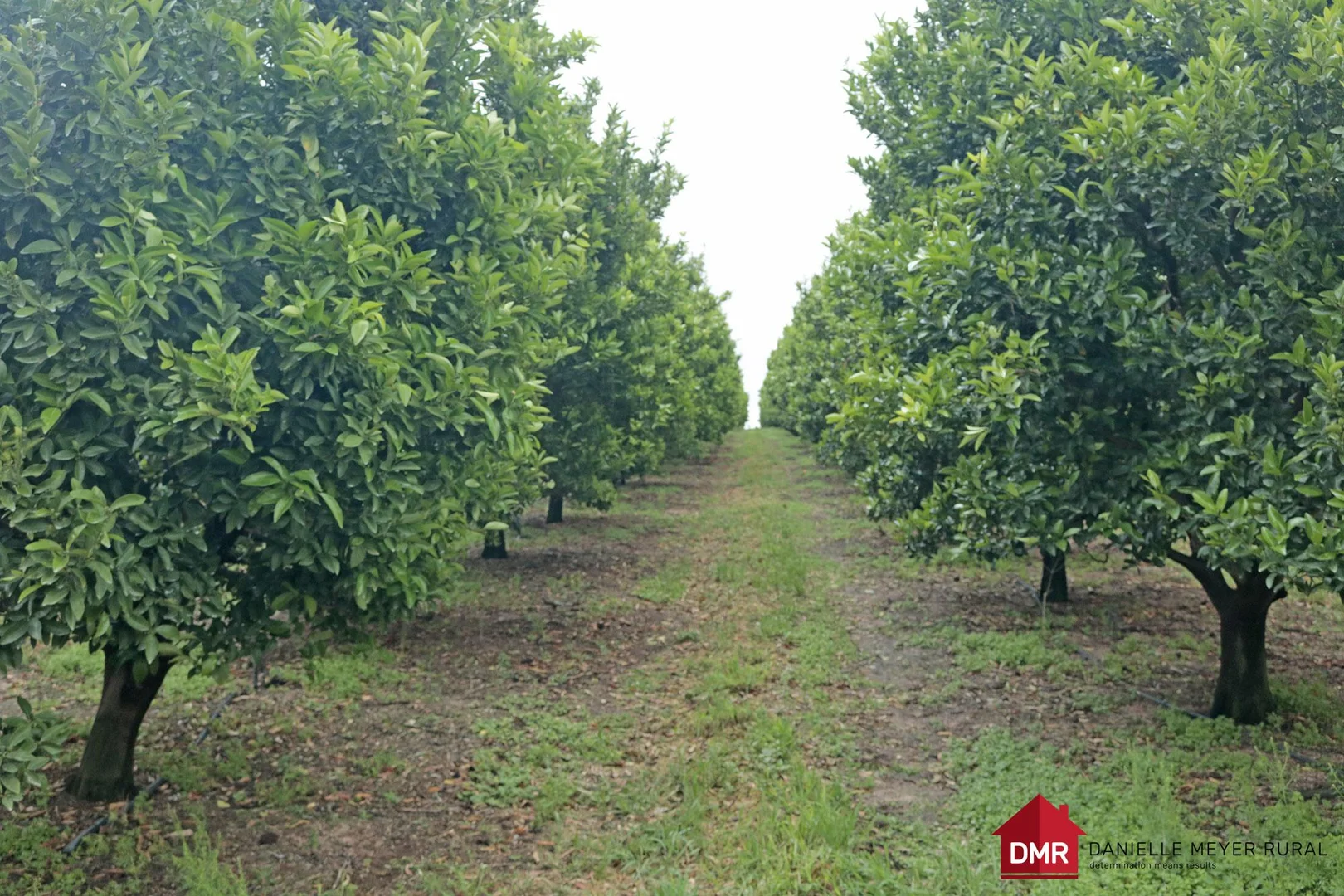 Additional image 4 of Mundubbera QLD 4626