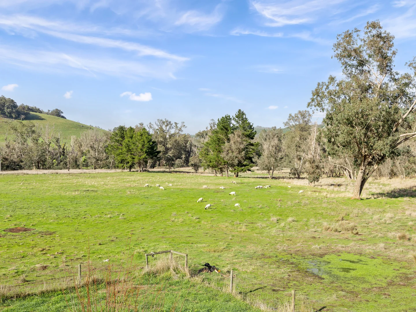 Additional image 56 of 1192 Balingup-Nannup Road, Southampton WA 6253