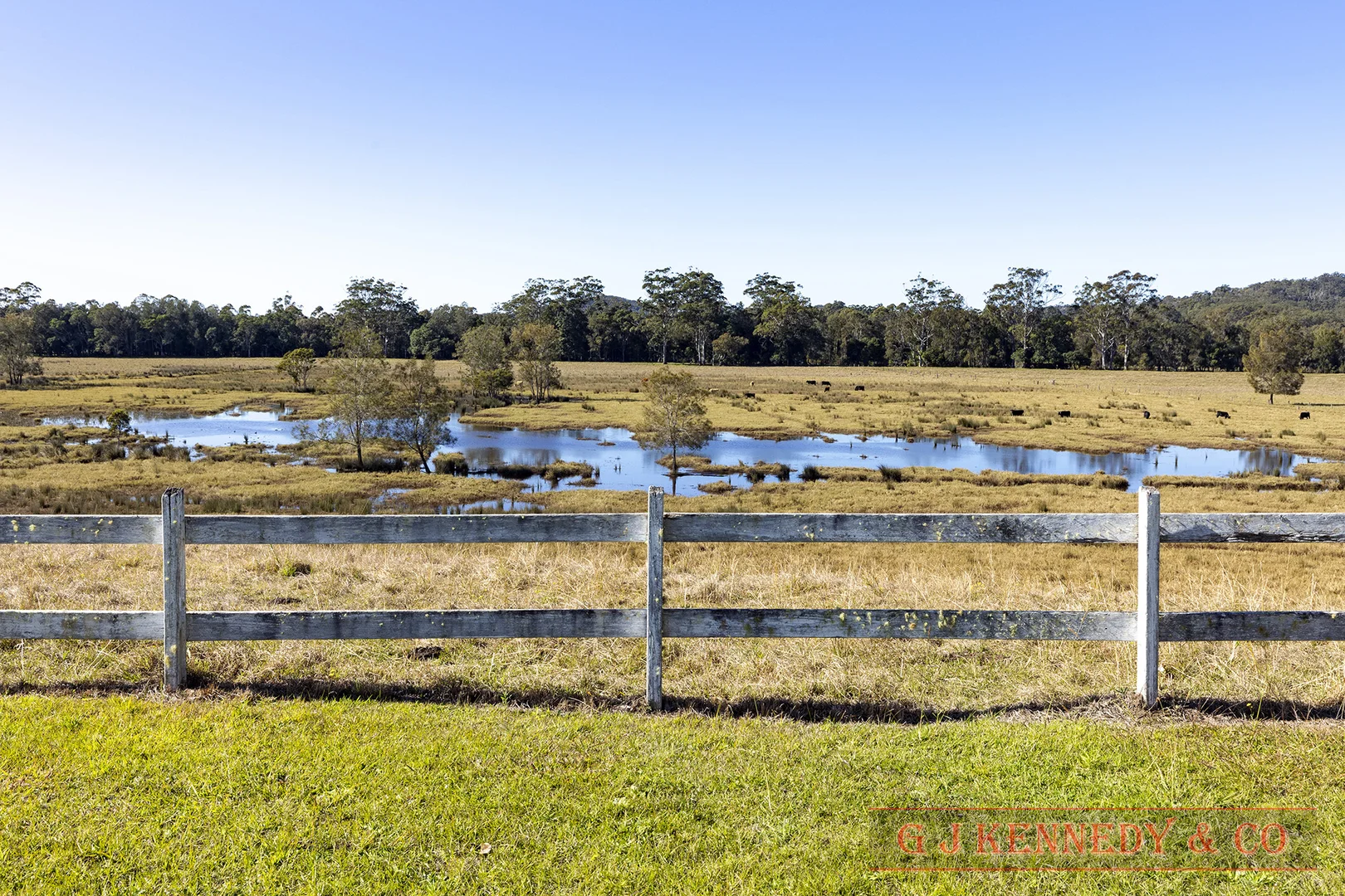 Additional image 17 of 837 Gumma Rd, Gumma NSW 2447