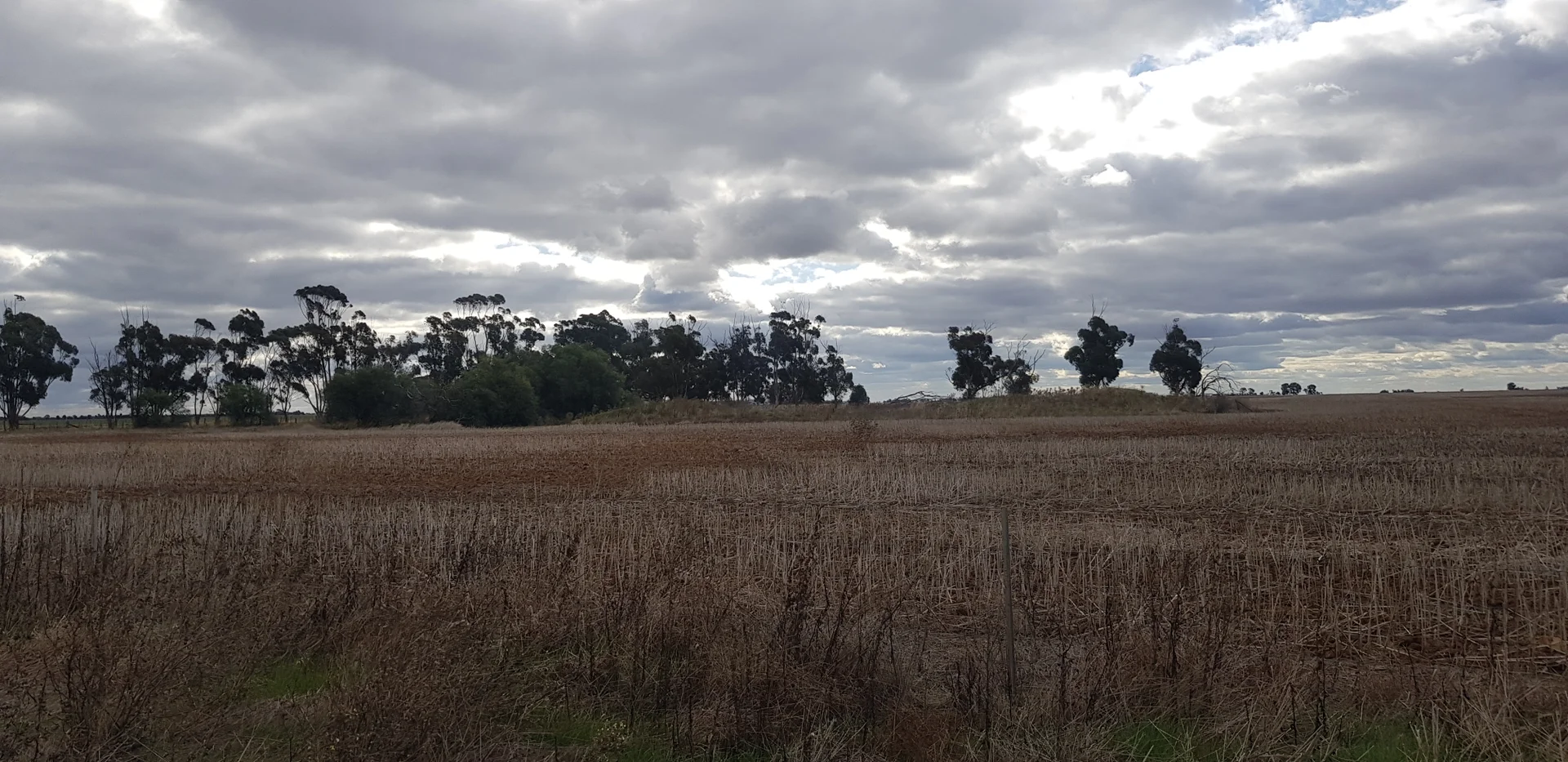 Additional image 5 of Tennyson VIC 3572