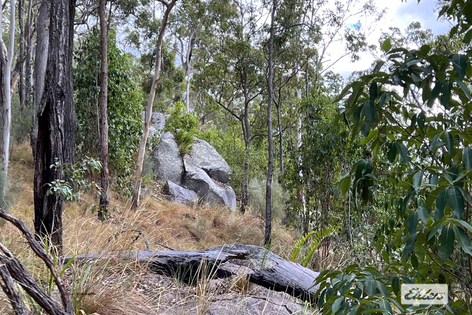Additional image 10 of 50 Stegemann Road, Upper Glastonbury QLD 4570