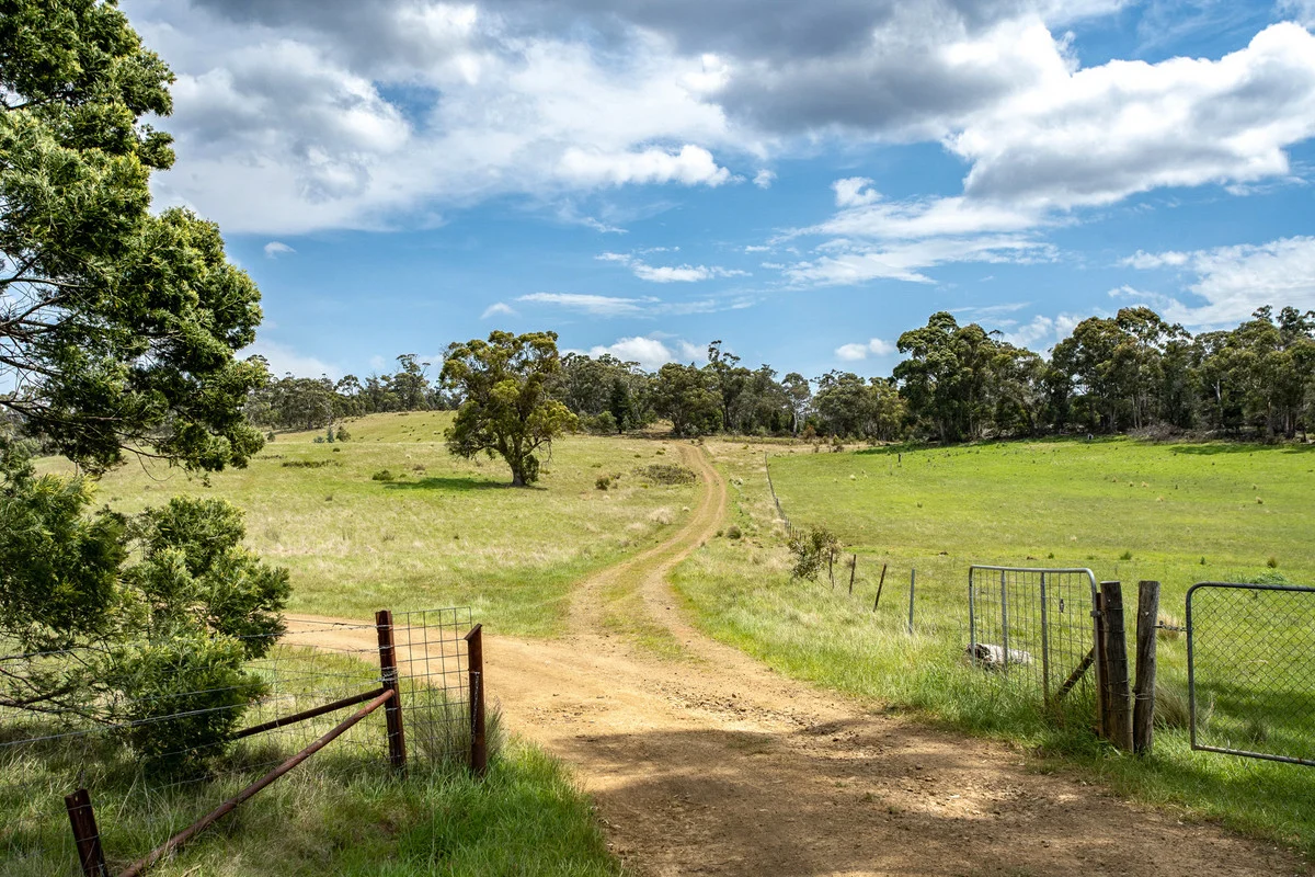 Additional image 26 of 2/10923 Tasman Highway, Little Swanport TAS 7190