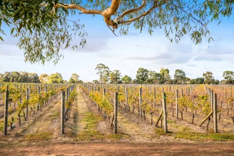 Additional image 2 of Wyndham Vale VIC 3024