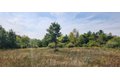Additional image 11 of 42751 N Sheridan Oaks Dr, Antioch, IL, 60002
