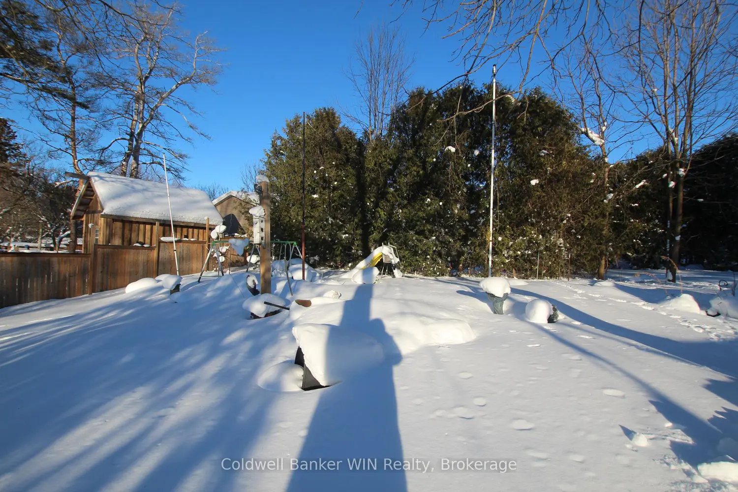 Additional image 7 of 283 Albert Street