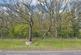 Additional image 8 of Larkshall Road, Chingford