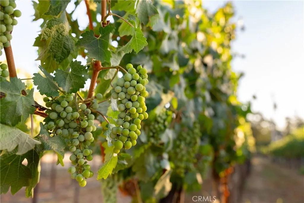 Additional image 78 of 2143 Buena Vista Avenue, Gilroy, CA 95020