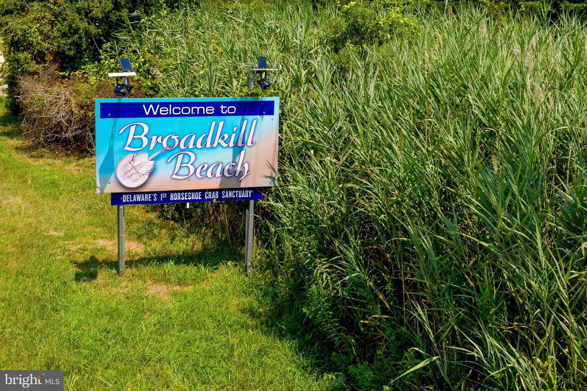 Additional image 98 of 1910 N Bay Shore Drive, Milton, DE 19968