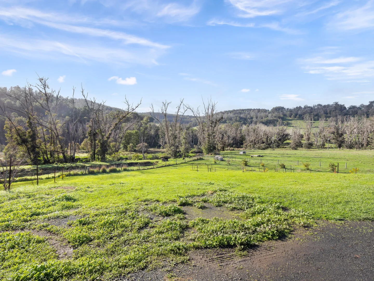 Additional image 55 of 1192 Balingup-Nannup Road, Southampton WA 6253