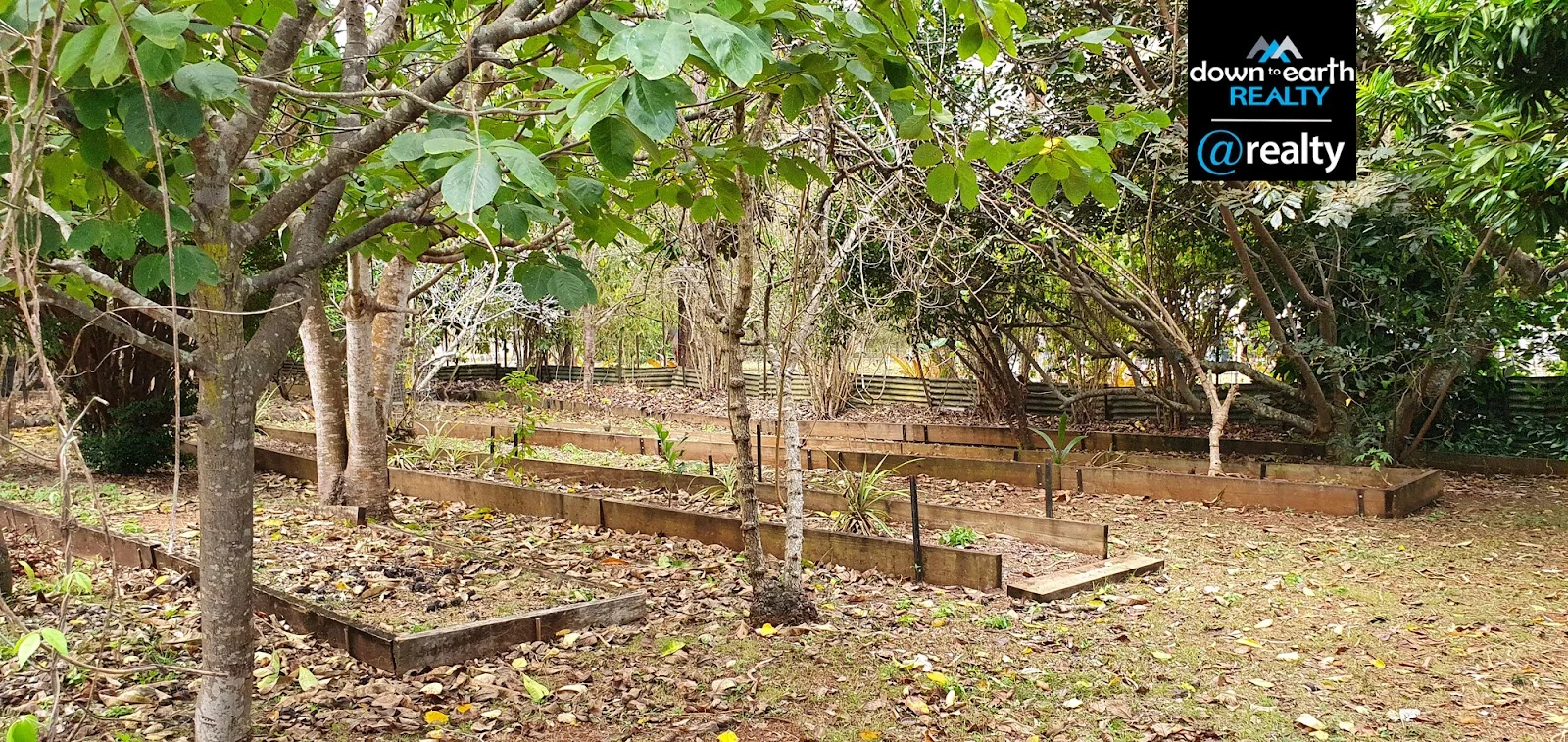 Additional image 31 of 161 River Road, Millstream QLD 4888